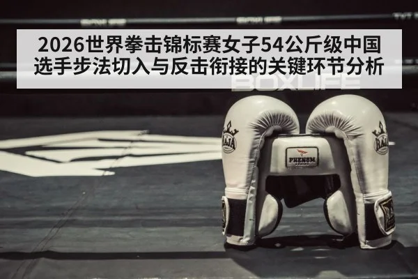 boxing ring gloves