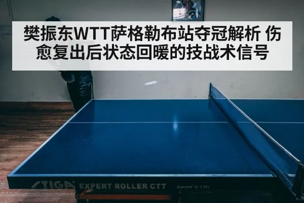 樊振东WTT萨格勒布站夺冠解析 伤愈复出后状态回暖的技战术信号