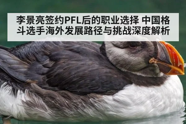 李景亮签约PFL后的职业选择 中国格斗选手海外发展路径与挑战深度解析